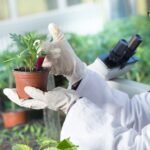 50 Pack 3ml/cc Plastic Syringe with 23Ga, Lab Sample Injection Syringes - Image 4