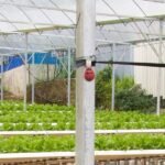 Kestrel Drop 1 Smart Temperature Data Logger - Image 3