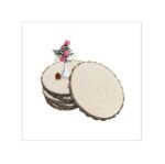 Wood Slices 6 Pcs Wood Rounds 10″-12 Inch