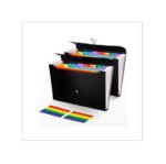2Pcs Expanding File Folder, 13 Pockets Accordion File Holder Organizer