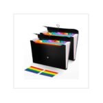 2Pcs Expanding File Folder, 13 Pockets Accordion File Holder Organizer