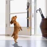 FOLKSMATE Dog Doorbells for Potty Training - Image 3